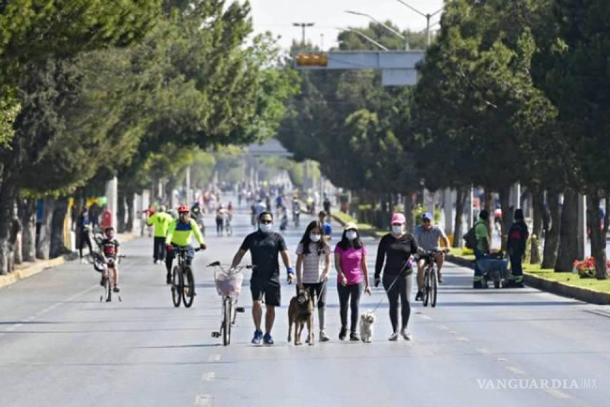 Habrá carrera de botargas de la Liga Mexicana de Beisbol en Ruta Recreativa
