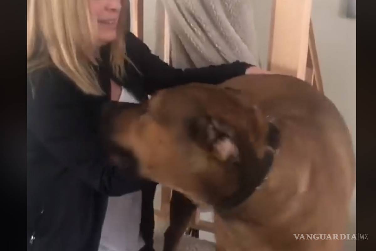 Borracho se equivoca de vivienda y pasa la noche en cama de un perro en Wisconsin