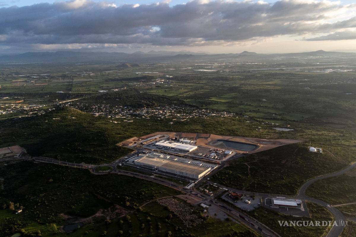 De México a Irlanda, crece la oposición al frenesí mundial por la IA