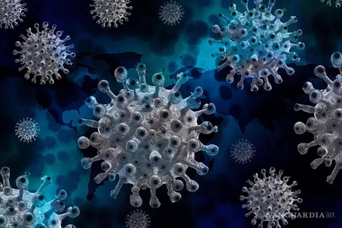 ‘Perro del infierno’, BQ.1 es la nueva variante de COVID-19 que preocupa para este invierno
