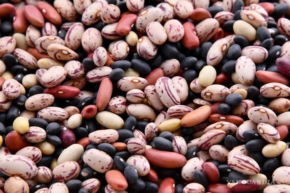 Frijol se vuelve un ‘lujo’, aumentó hasta el 14%; el triple de la inflación