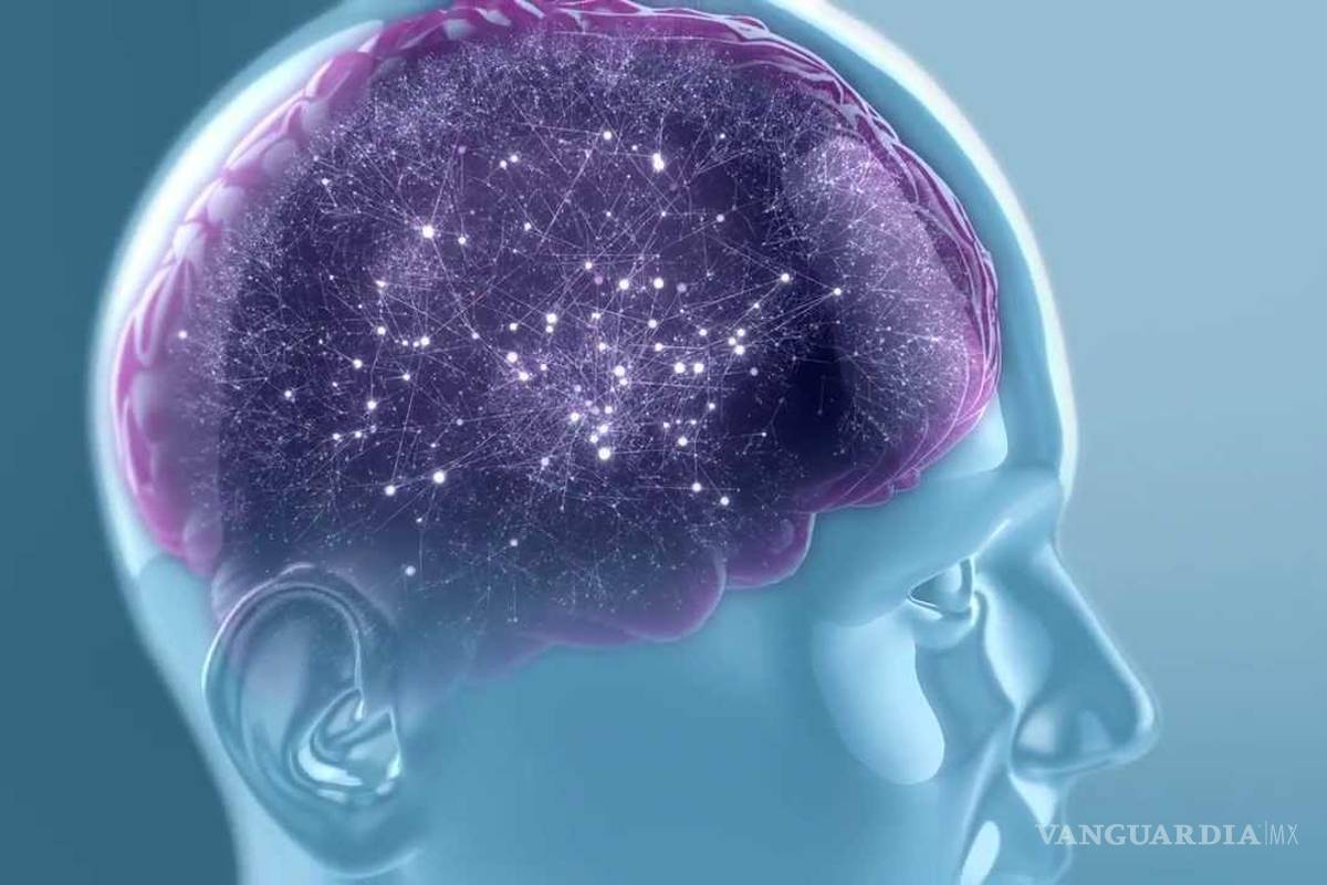 Mexicana devela misterios del cerebro adolescente