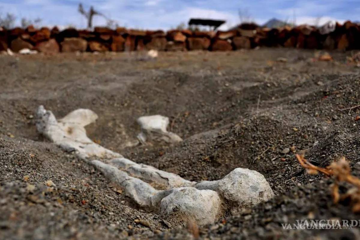 Reconocen a Rincón Colorado como importante ‘sitio de interés geológico’ a nivel global