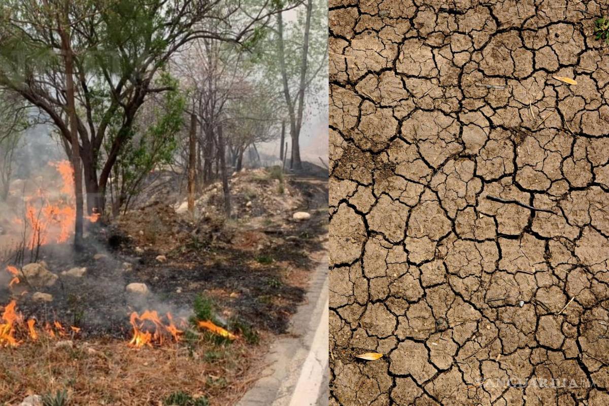 Coahuila sufre uno de los cinco Puntos Críticos que alertan científicos sobre el Calentamiento Global