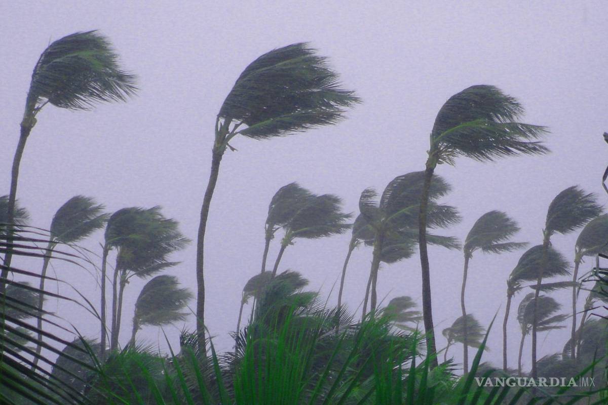 Cierren medios de navegación marítima en Guerrero por tormenta tropical ‘Flossie’