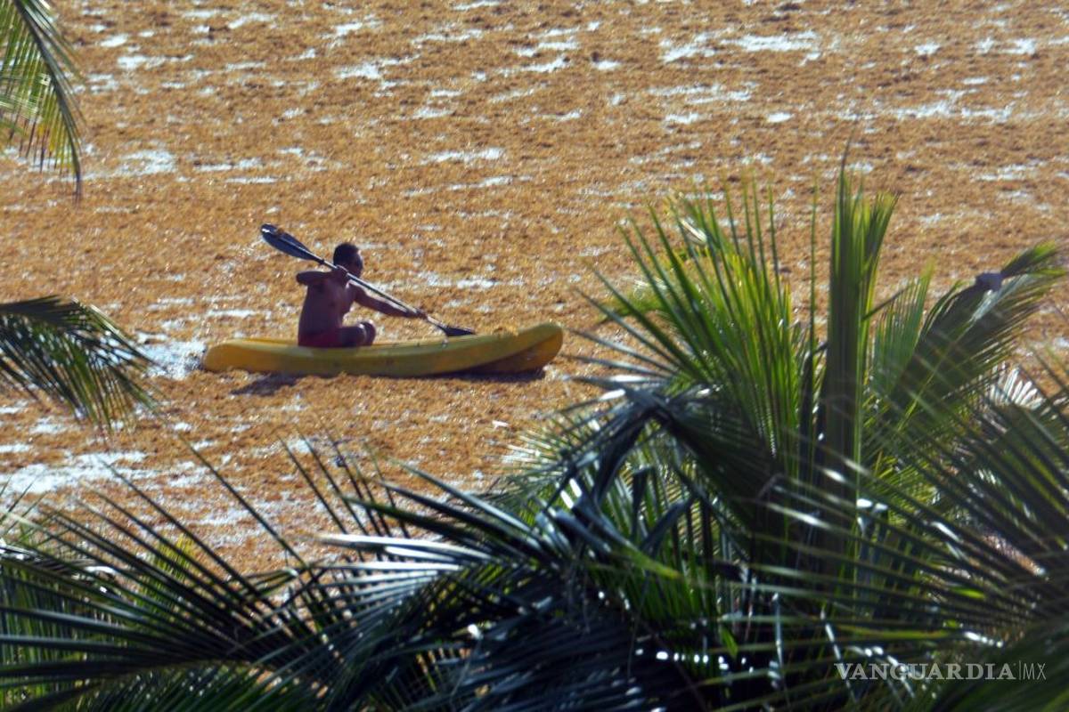 Quintana Roo solicitará 218 mdp más para mitigar el sargazo en sus playas