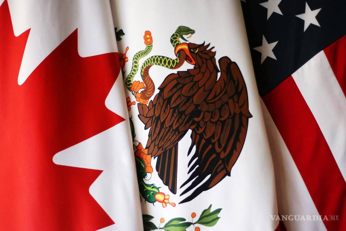 ‘Panel resolverá si México viola T-MEC en energía’