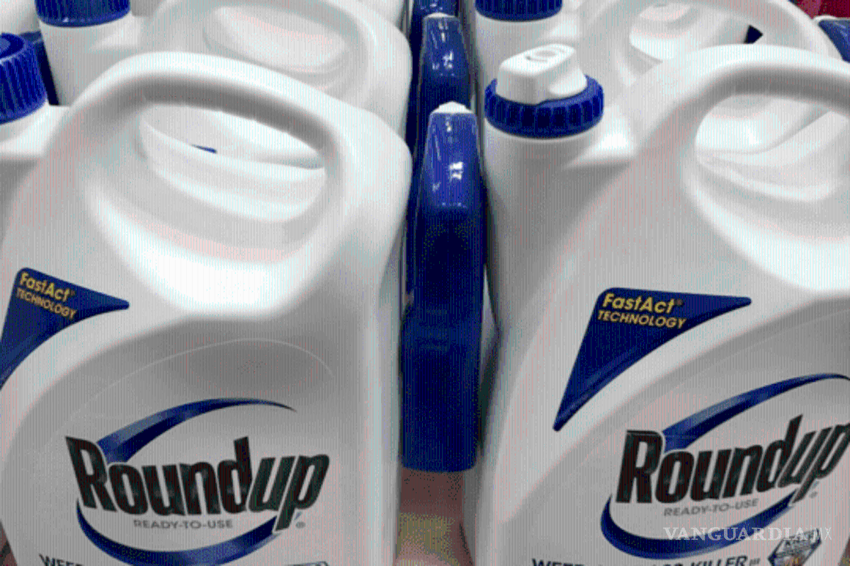 Bayer rechaza que glifosato sea carcinógeno, pero respetará la ley si México lo prohíbe