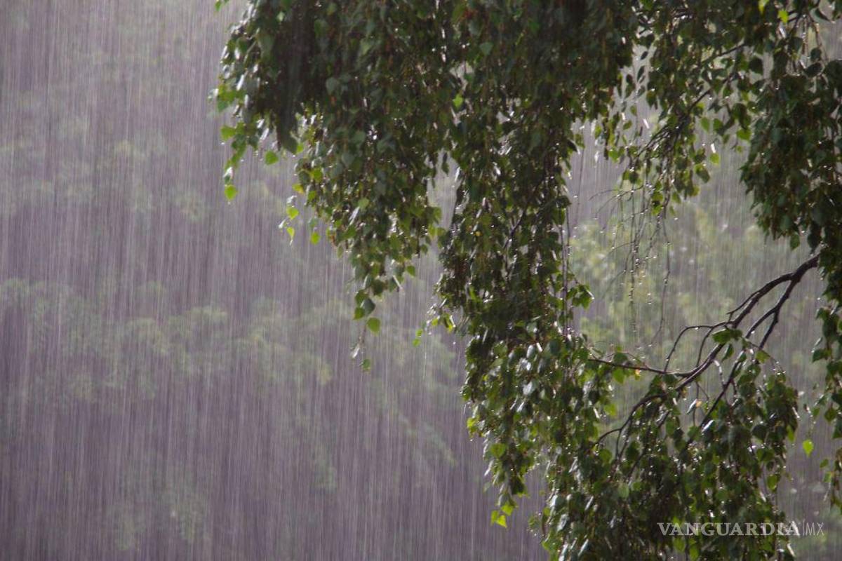 Pronostican lluvias intensas y rachas de viento en el centro y sur del país; Frente frío 23 se disipa