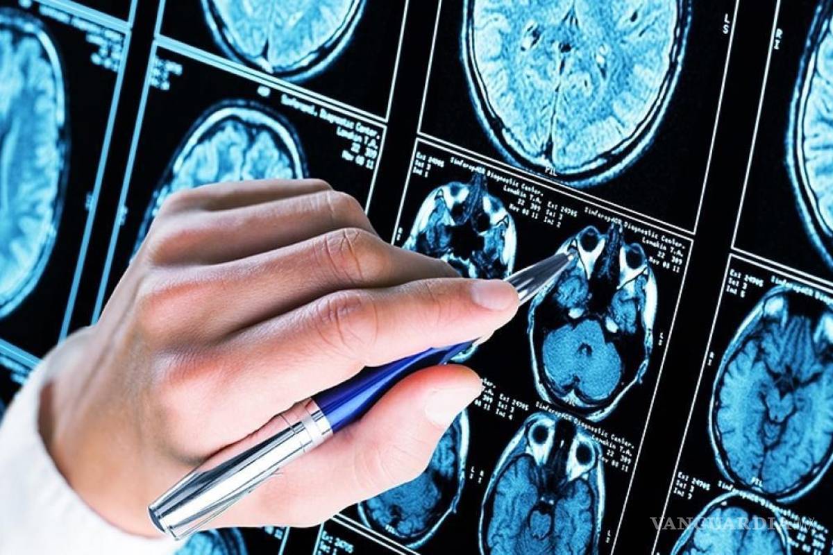 ¿Funcionaría en humanos? revelan resultados de transplante de neuronas en ratones