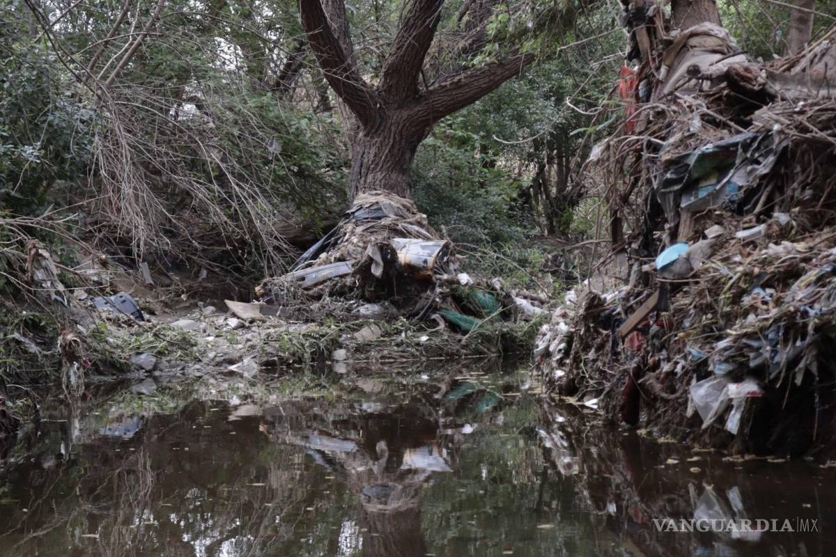 Acumulación de basura en arroyos afecta agua de Saltillo
