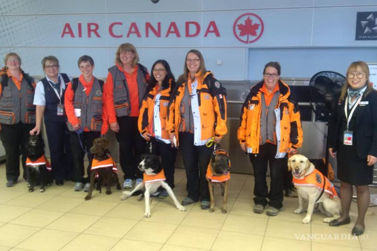 Llega brigada canadiense canina para apoyar labores de rescate del sismo
