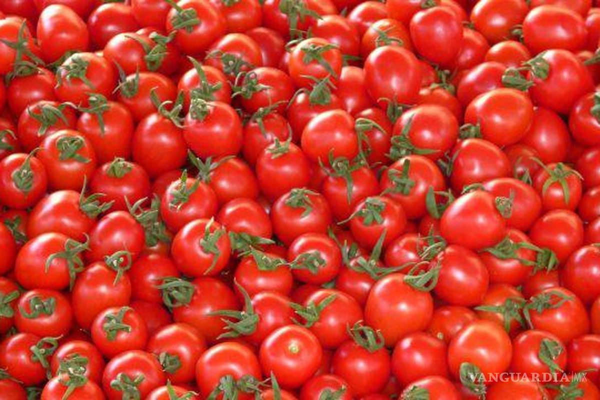 Productores de EU piden aranceles a tomate mexicano