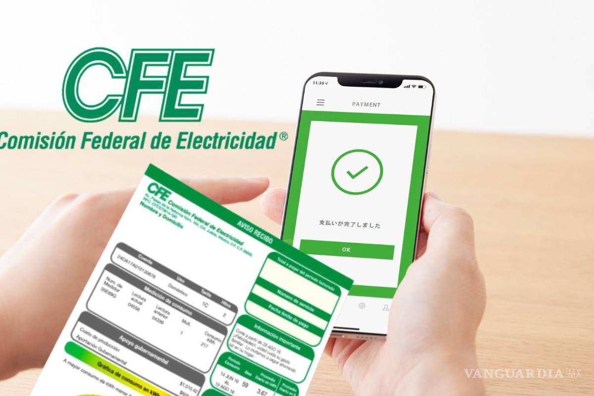 CFE: Guía fácil y sencilla para hacer el pago del recibo de luz sin salir de casa... ¡antes de que te la corten!