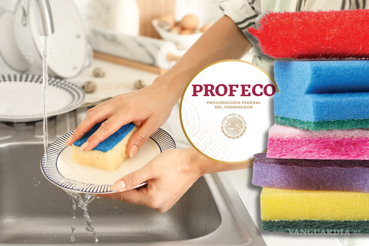 ¿Fibras abrasivas, suaves o con esponja? Profeco recomienda cómo escoger la fibra ideal para los trastes