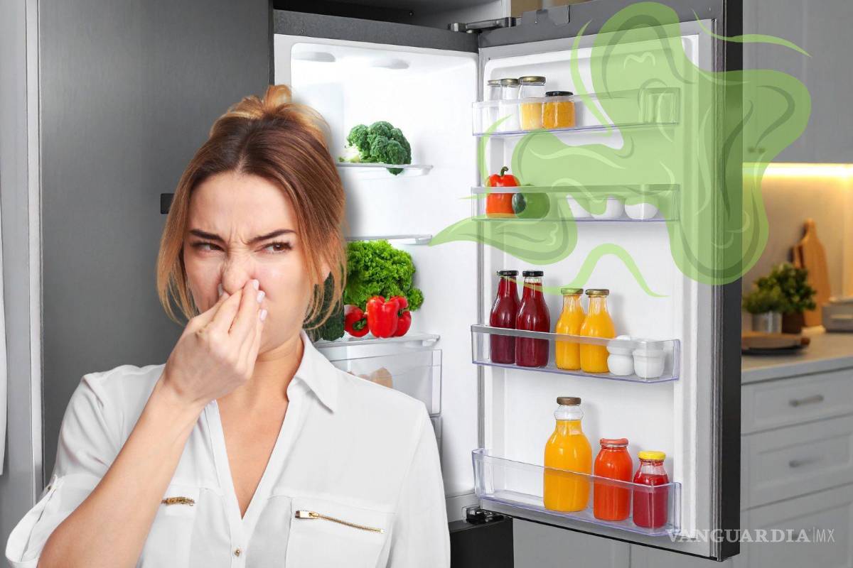 ¿No se va el mal olor de tu refrigerador? Conoce estos 5 remedios caseros fáciles y económicos