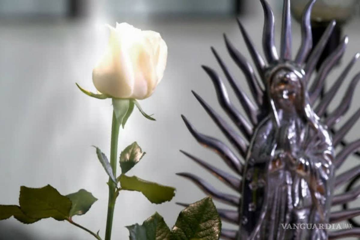 ¿Por qué 'La Rosa de Guadalupe' tiene tanto éxito en la televisión?