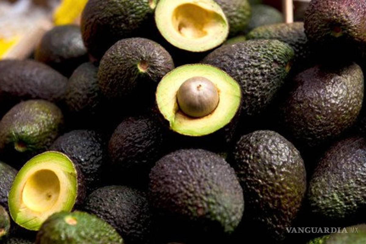 Detienen a ladrón de 'oro verde' en Morelia: le aseguran 11 mil kg de aguacate