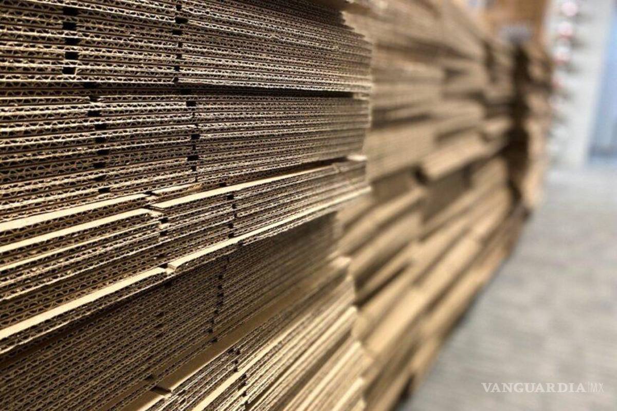 Gobierno de Sheinbaum investiga importación de cartoncillo de China, por posibles prácticas ilegales