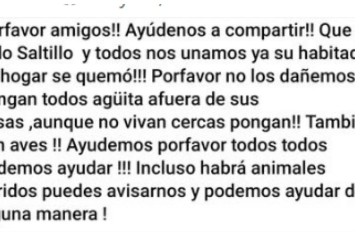 “¡Por favor no los dañen!”; por incendio, fauna de Zapalinamé baja a Saltillo (VIDEO)