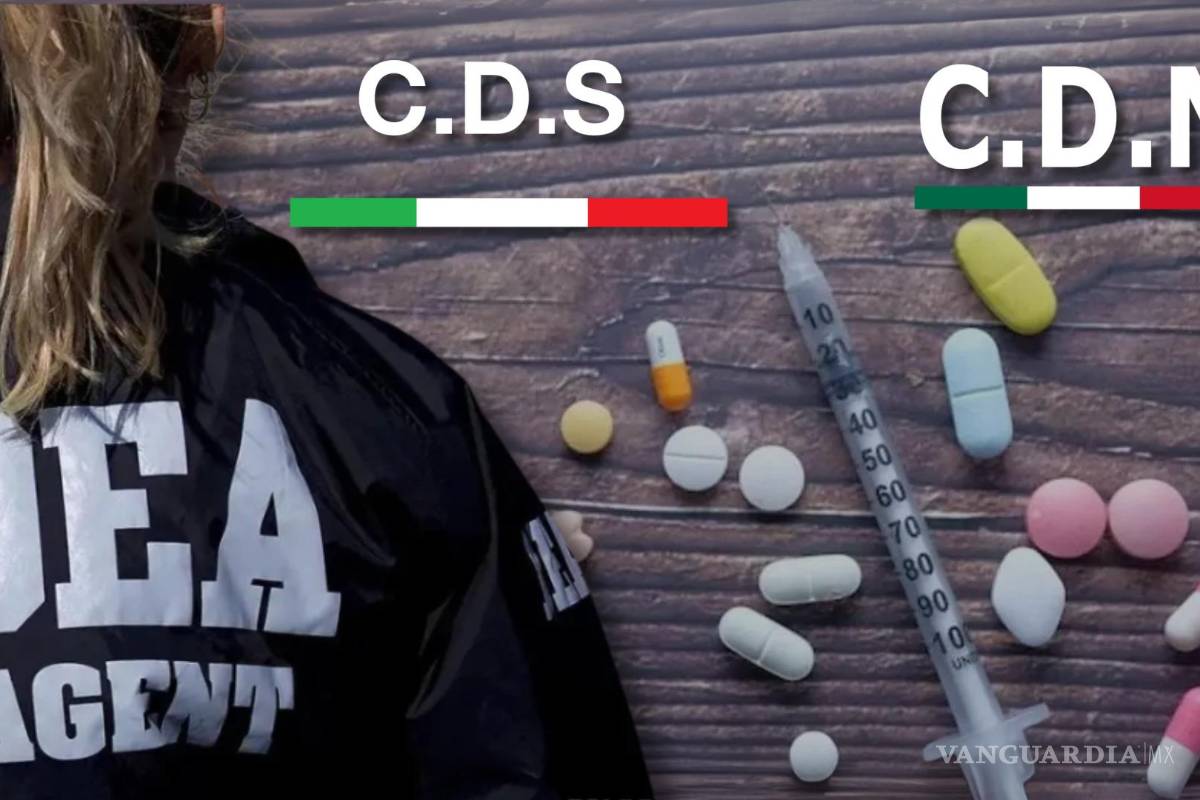 ‘La Mayiza’ tiene una alianza de negocios con el Cártel del Noreste, según la DEA