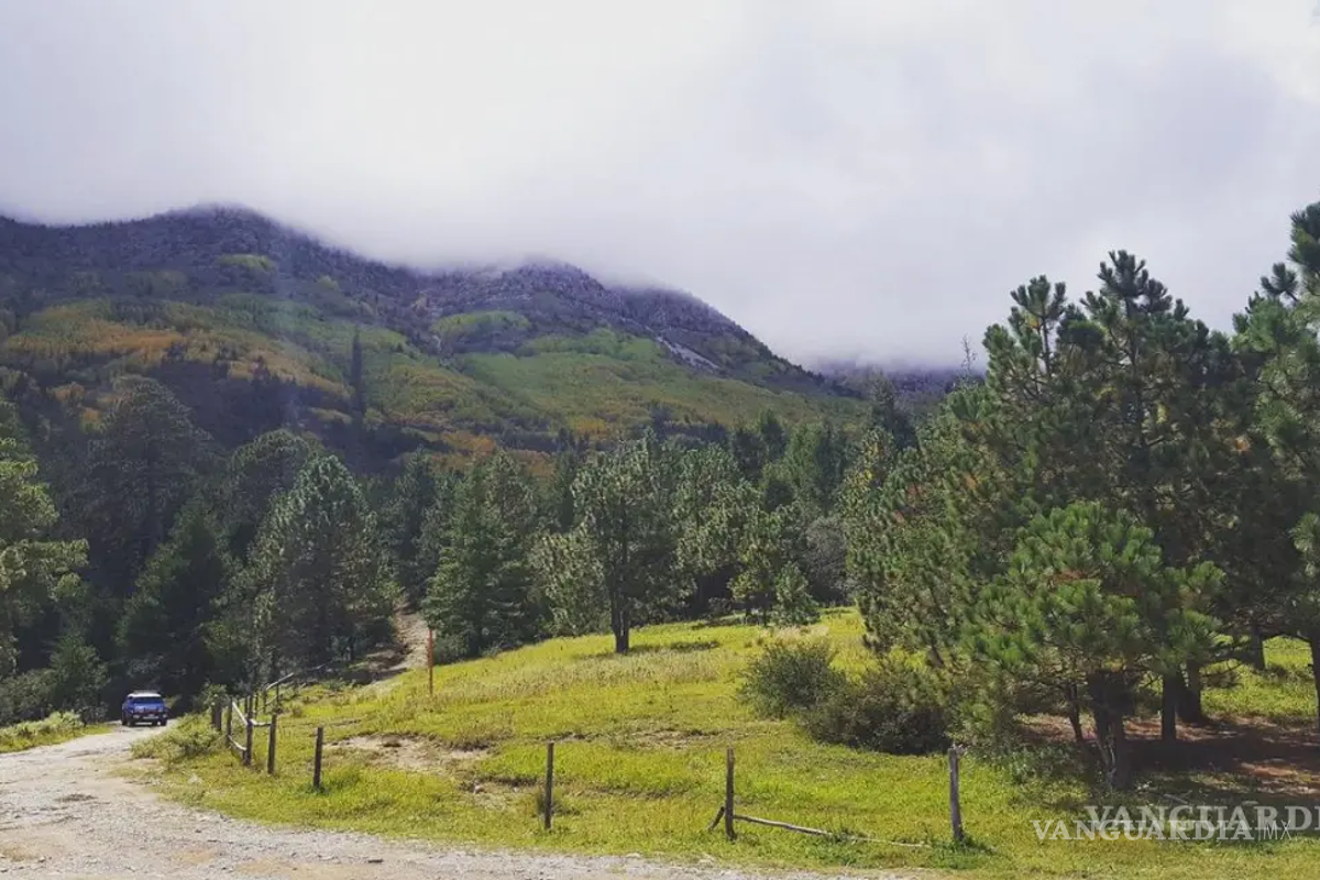 Arteaga refuerza medidas de seguridad ante temporada de lluvias y auge de senderismo