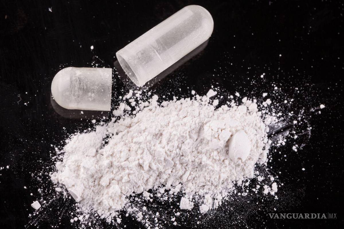 Nayarit: Desmantelan narcolaboratorio en San Blas y aseguran 12 toneladas de droga valuada en 3 mdp