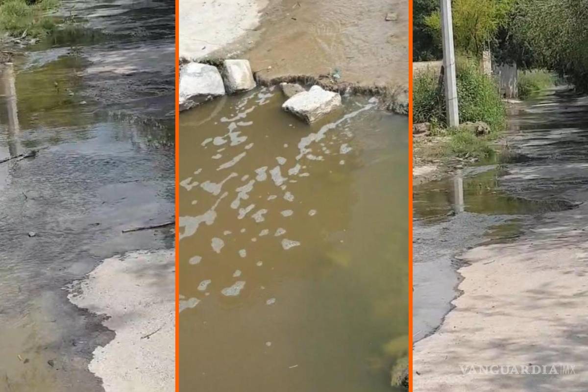 Reportan vecinos constante presencia de aguas negras cerca del bulevar Colosio, al norte de Saltillo