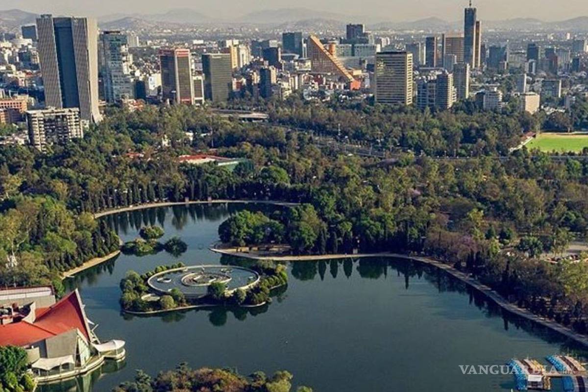 'Chapultepec es un proyecto de obra pública, no de cultura'