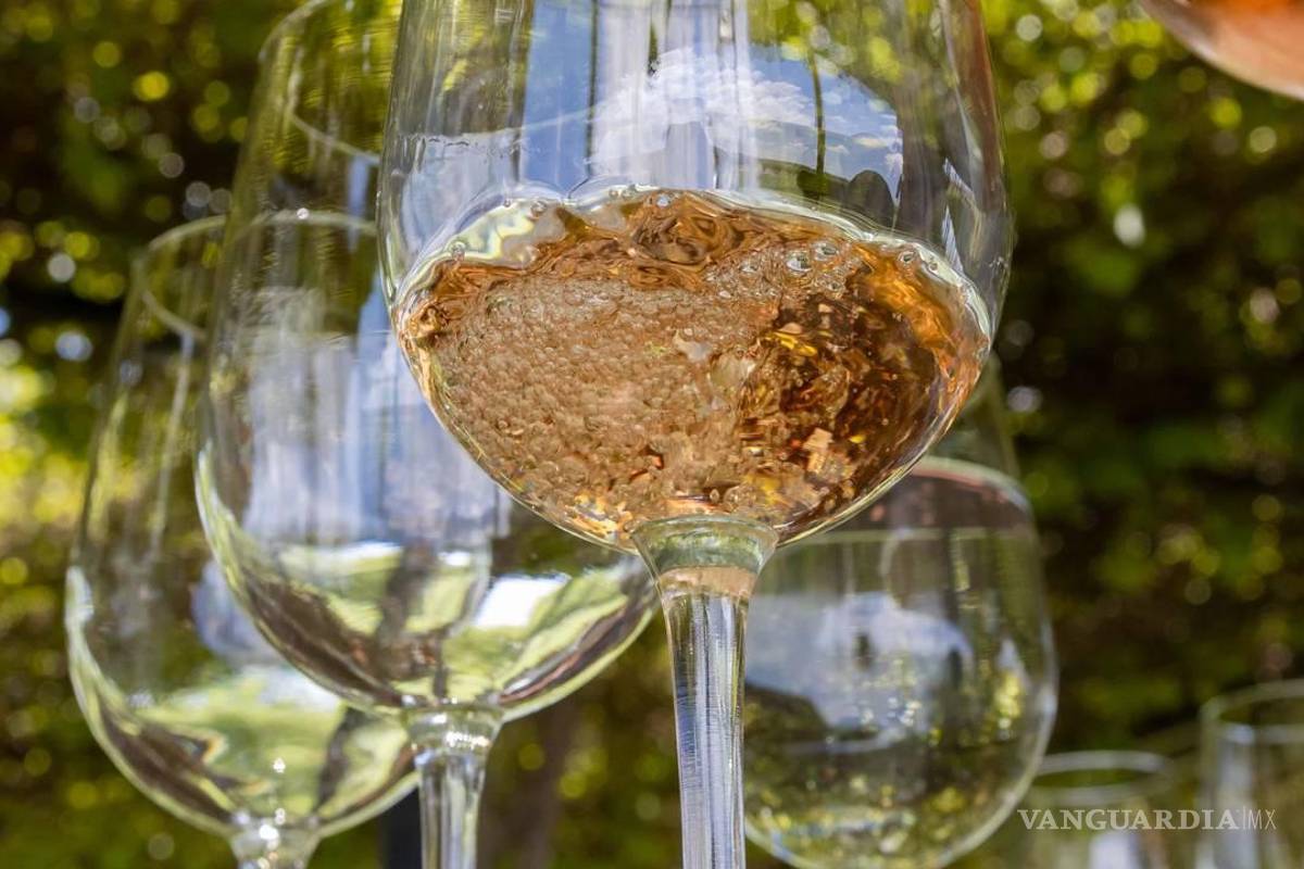 RGMX aprovechará vendimia para celebrar su 25 aniversario