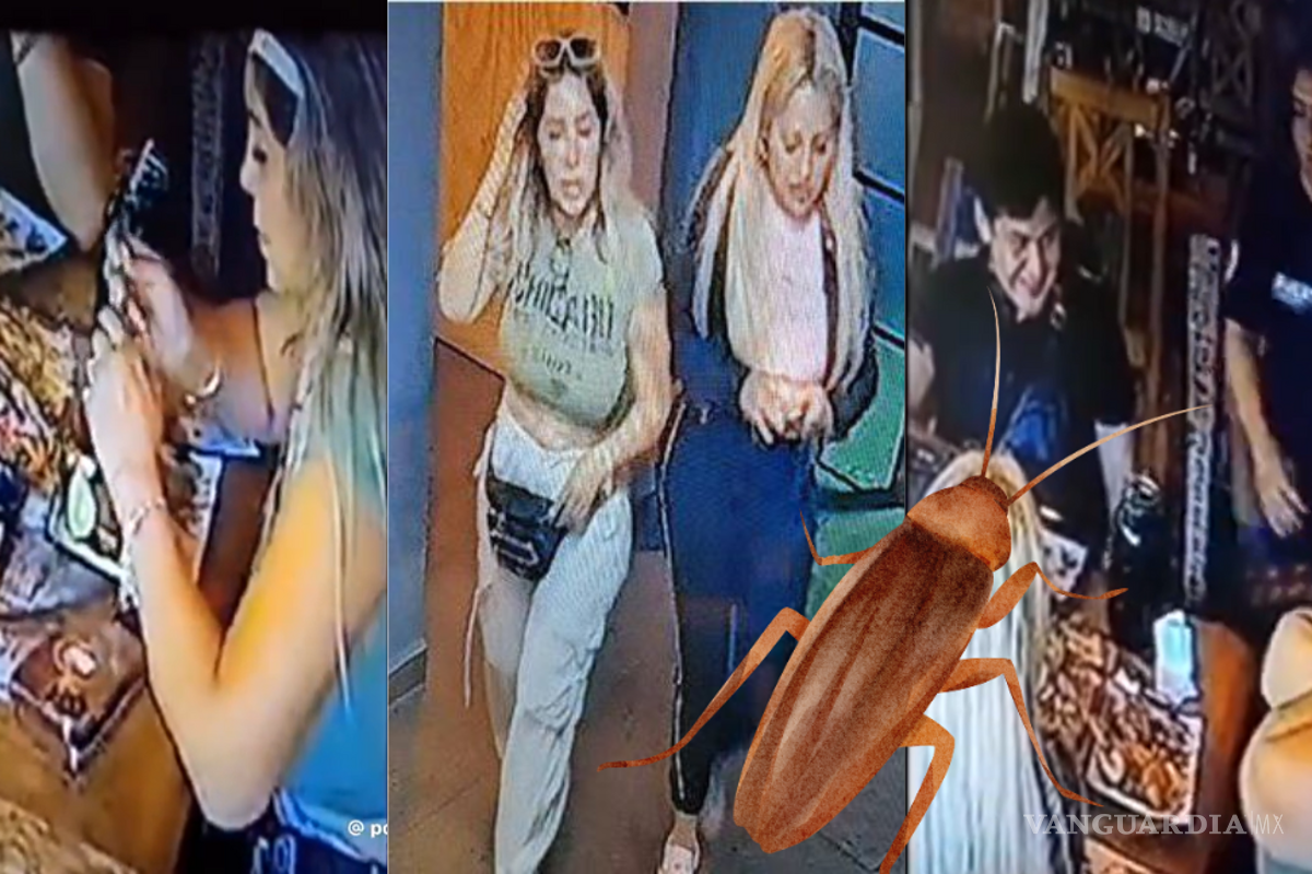 Lady Cucaracha: Captan a mujer colocando una cucaracha para no pagar la cuenta en restaurante de Guadalajara (VIDEO)