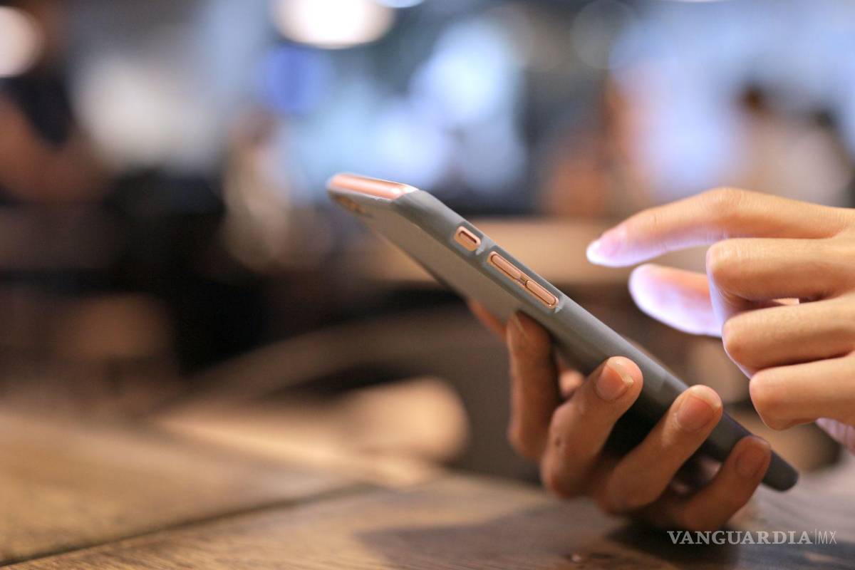 Celular y CURP en 2026: Esto debes hacer si cambias de compañía telefónica con la nueva regulación