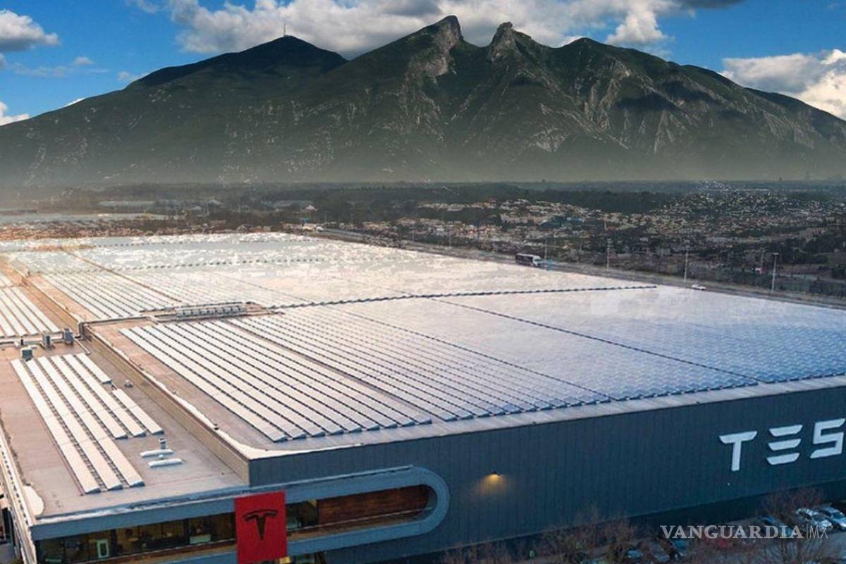 Daría Elon Musk banderazo a las obras de la planta Tesla