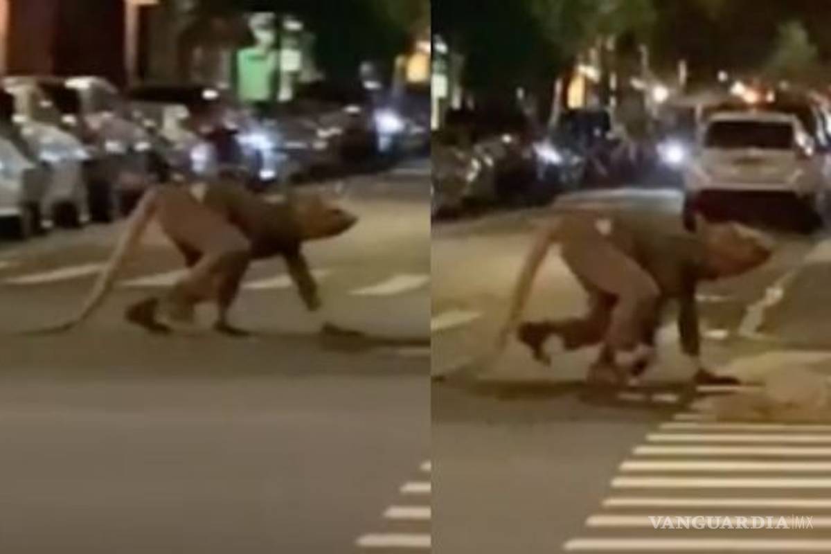 Hombre 'rata' aterroriza las calles de Nueva York (video)