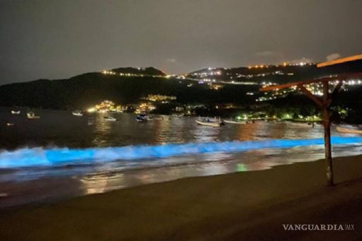 ¿Qué es la Bioluminiscencia?... el espectáculo del mar nocturno que se apreció en Acapulco