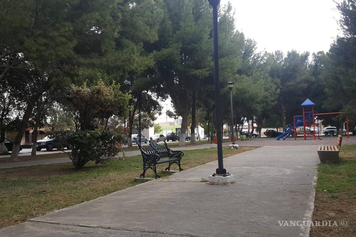 Reforestarán Plaza del Compositor en la colonia República de Saltillo