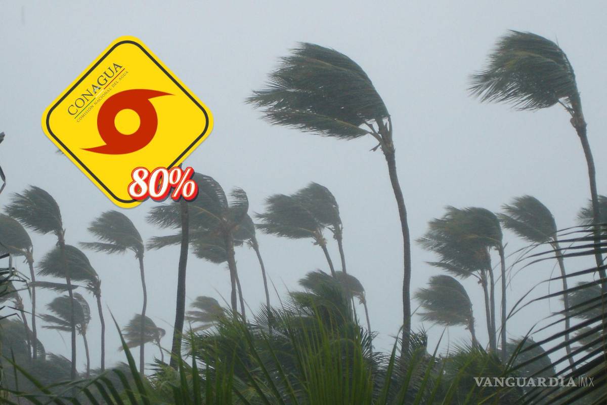 ‘Bárbara’ está a 80% de probabilidad de desarrollo ciclónico: ¿Cómo afectará a México, según Conagua?