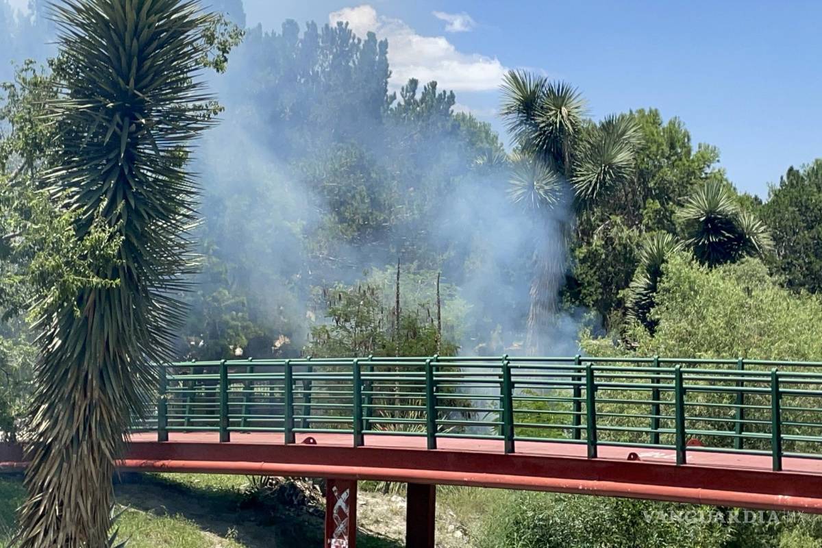 Se desata incendio en el Bosque Urbano de Saltillo