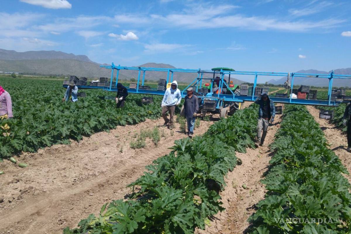 Fundación Bill &amp; Melinda Gates apoyará al campo coahuilense