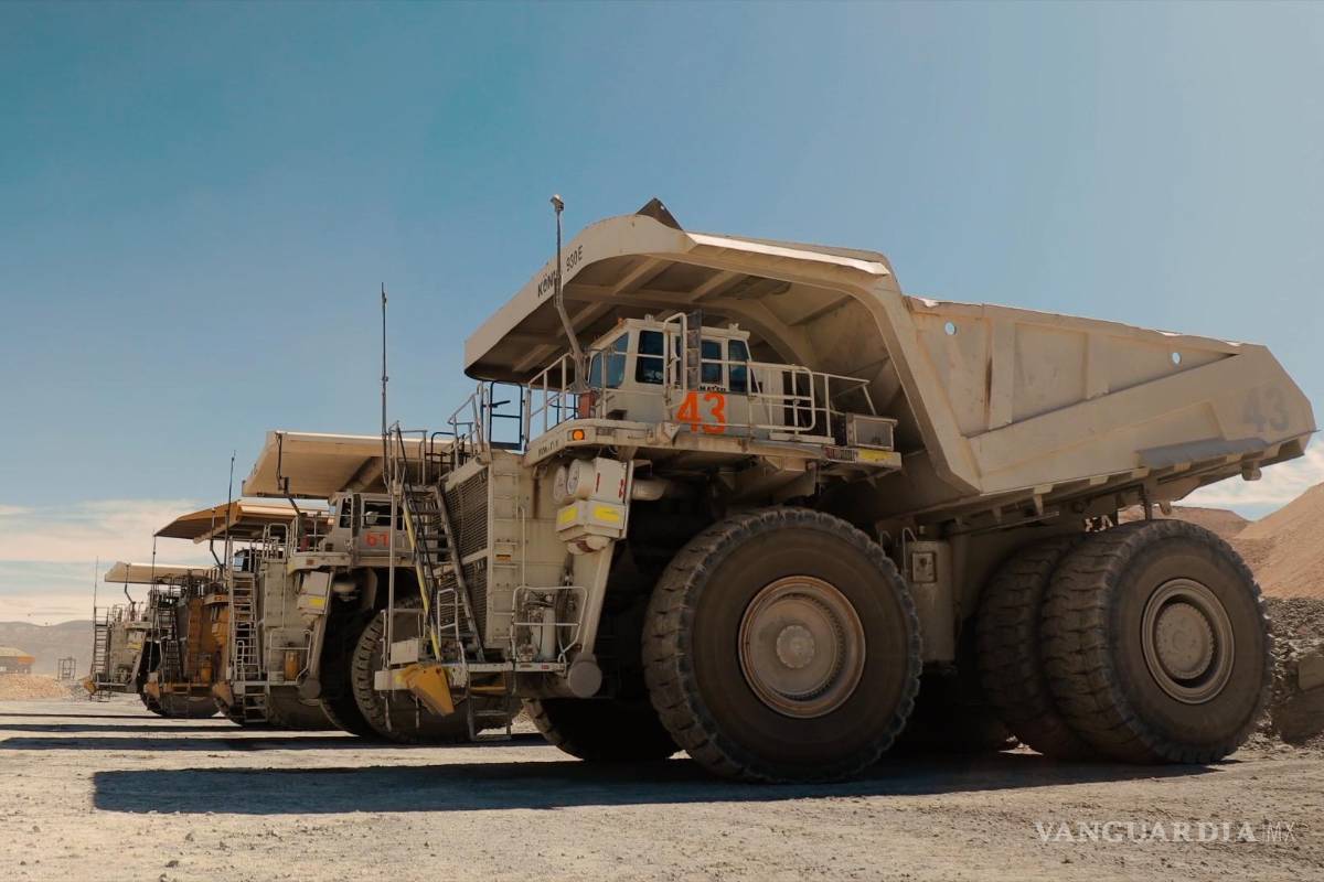 Serían más de cuarenta millones el valor de los minerales robados a minera