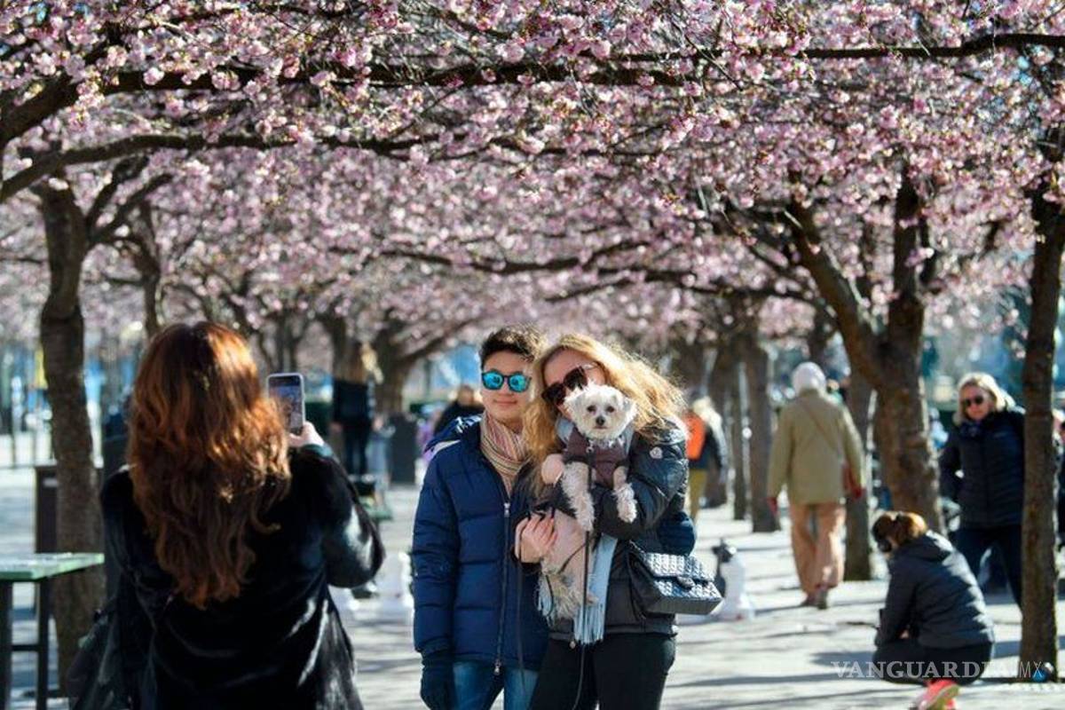 “Confinamiento es insostenible, al final todos se contagiarán”: epidemiólogo sueco
