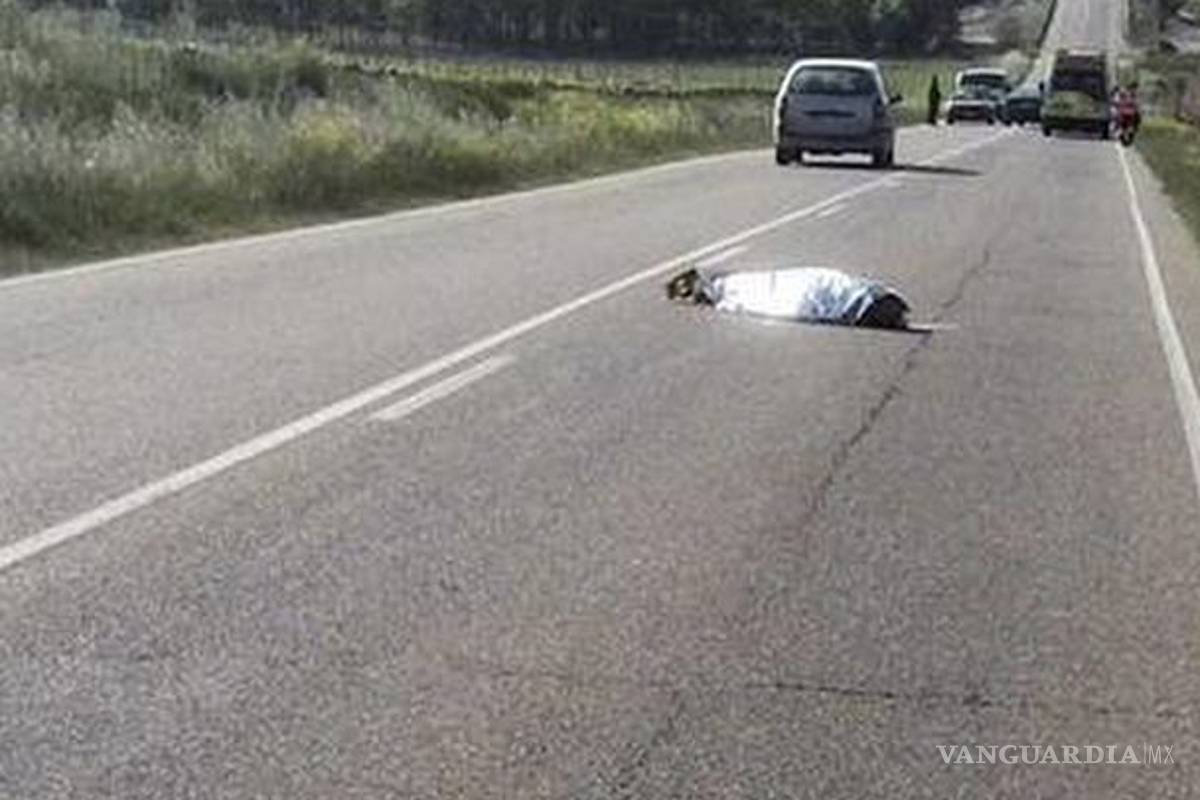 Veracruzano muere arrollado en la carretera a Durango