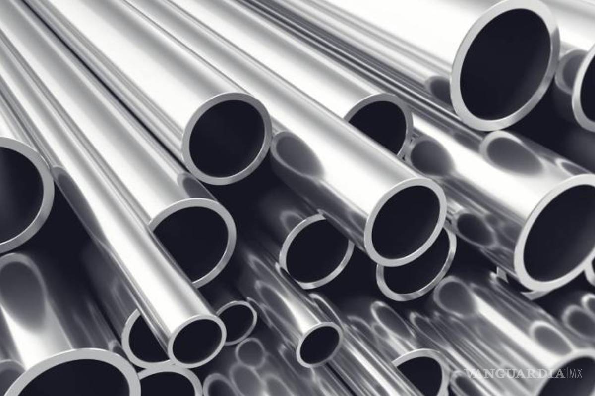 En TLCAN, México y Canadá deben ser socios, no clientes: CCE