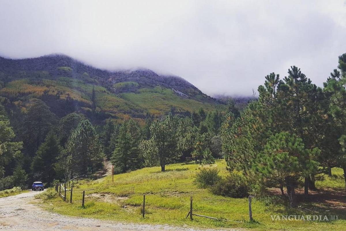 Endurecen propietarios de terrenos en Sierra de Arteaga reglas para los senderistas y paseantes