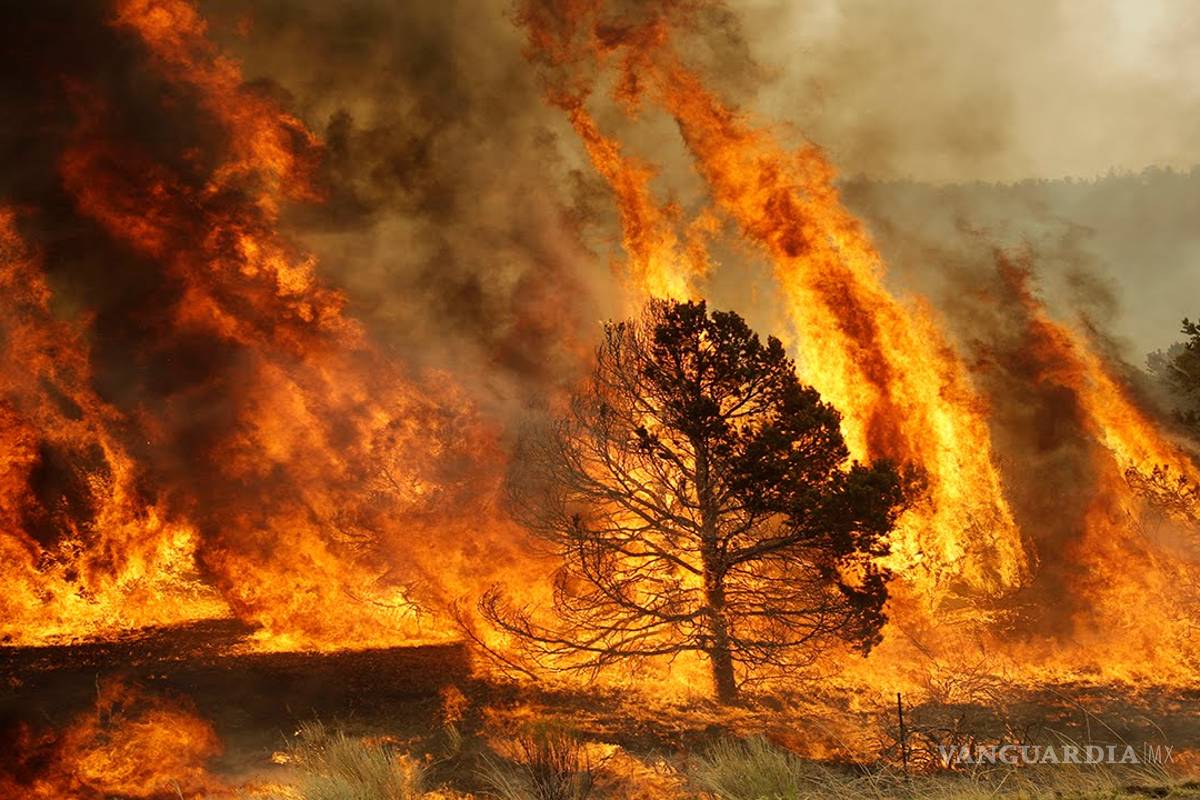 Crisis mayor al COVID-19 amenaza al mundo por el cambio climático