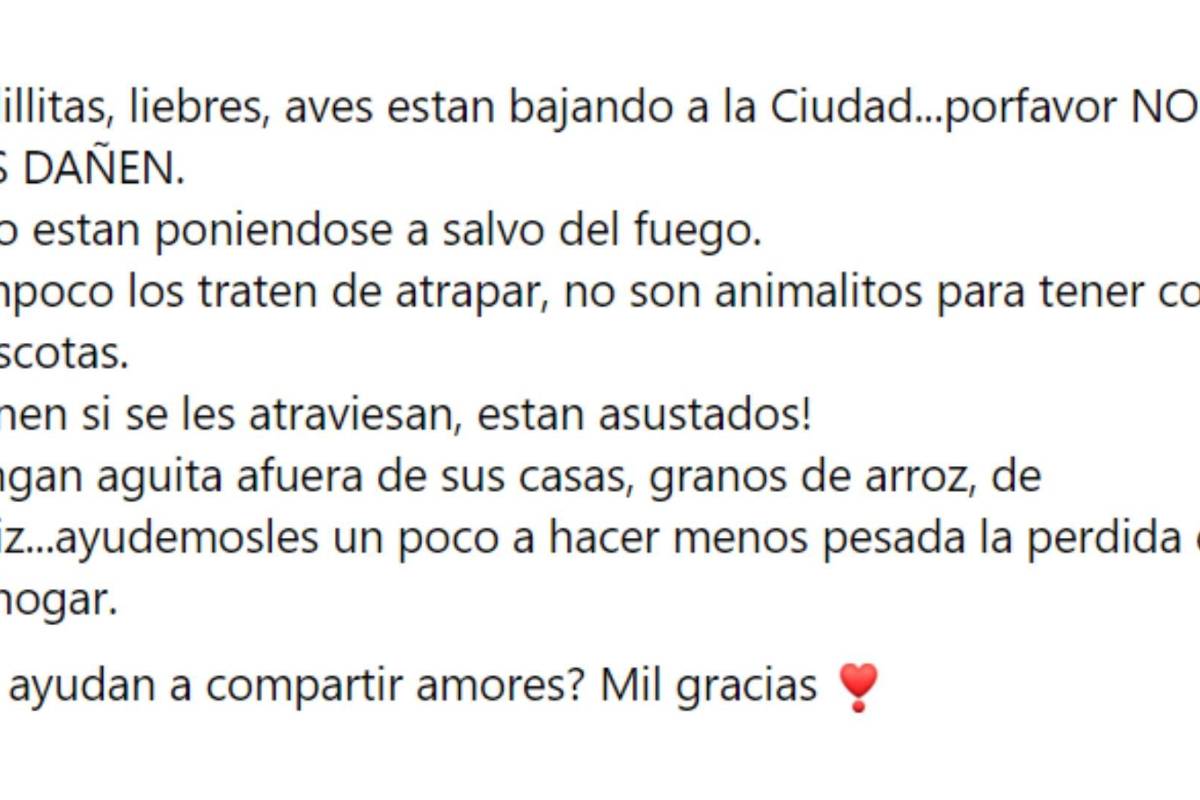 “¡Por favor no los dañen!”; por incendio, fauna de Zapalinamé baja a Saltillo (VIDEO)
