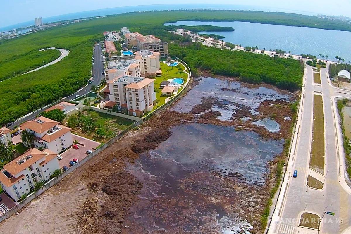 Tribunal ordena a Semarnat restaurar manglar de Tajamar