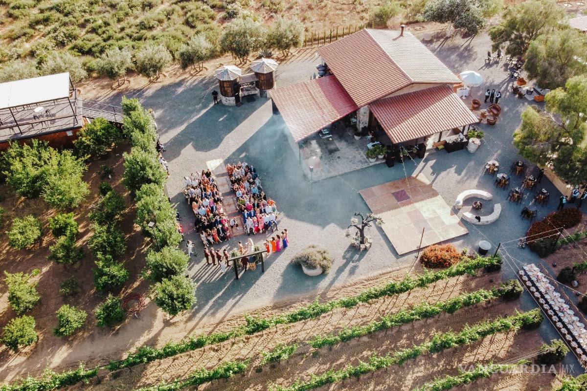 $!Valle de Guadalupe: Vino y relax.