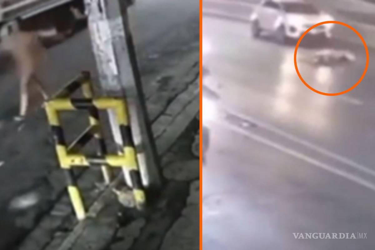 FGJ de Nuevo León investiga caso de empleada de bar que caminaba desvestida y fue arrollada