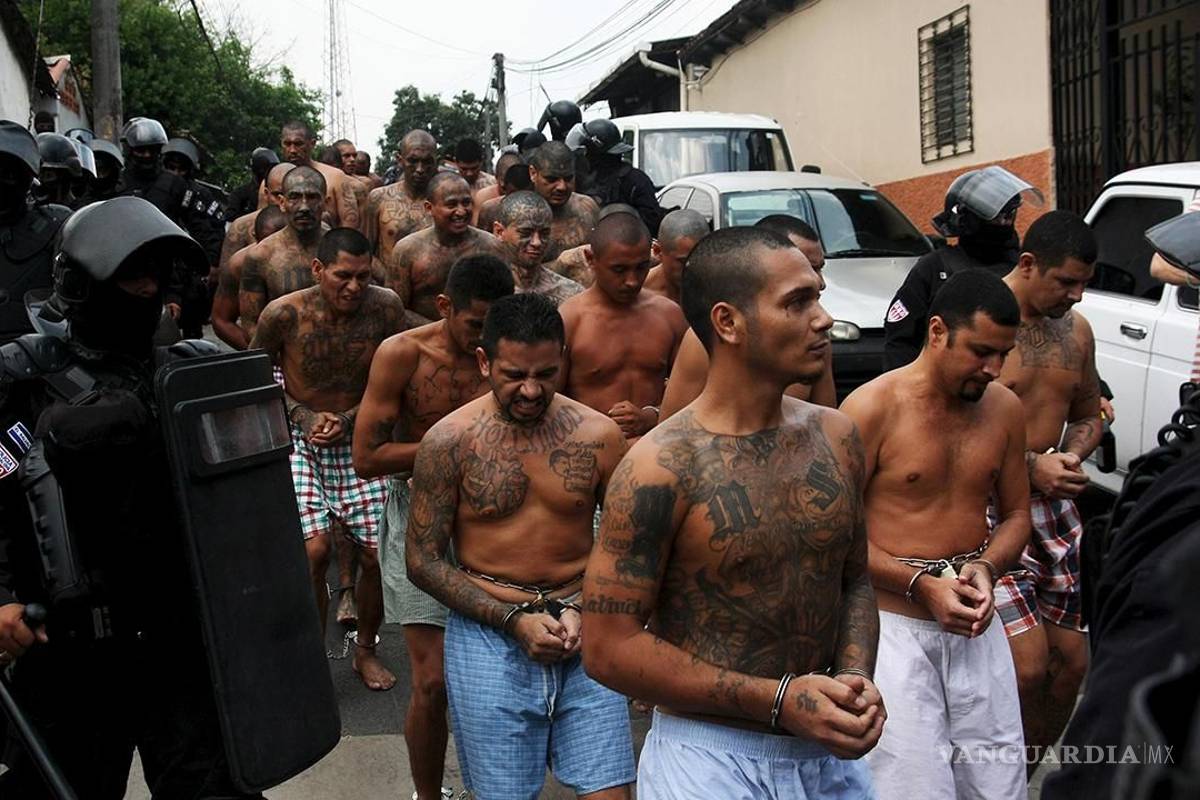 Detienen 267 pandilleros de la Mara Salvatrucha en EU y en El Salvador